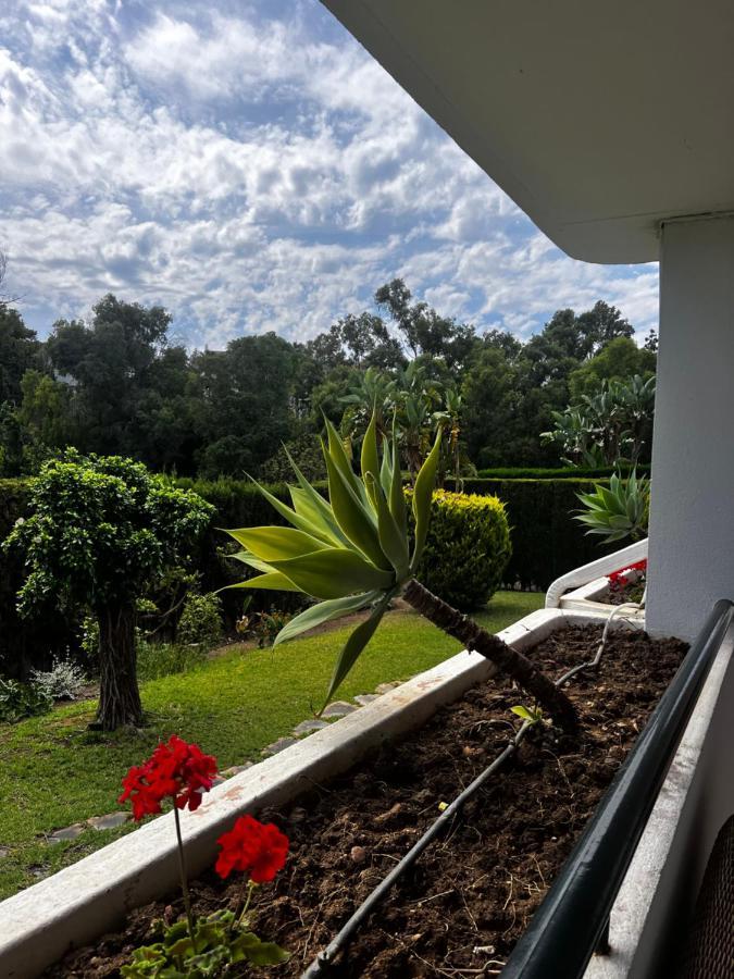 Puente Romano 3 Bedrooms Apartment Marbella